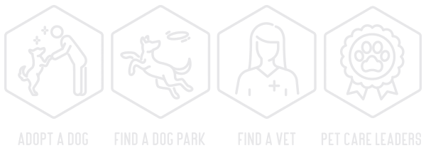 gyms-for-dogs-dog-park-icons