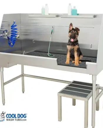 ada lsp dog COVER PHOTOwebp