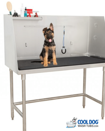 gt dog COVER PHOTOpng