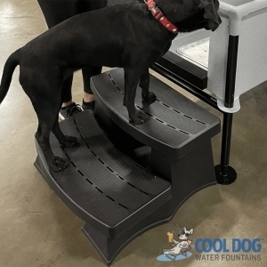 stepup 1024x1024 1 300x300 - Cool Dog Wash Tubs stepup 1024x1024 1 300x300