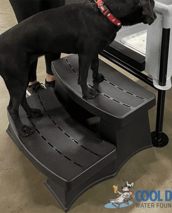 stepup 1024x1024 1jpg